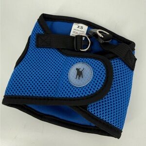 Blue Mesh Dog Harness XS